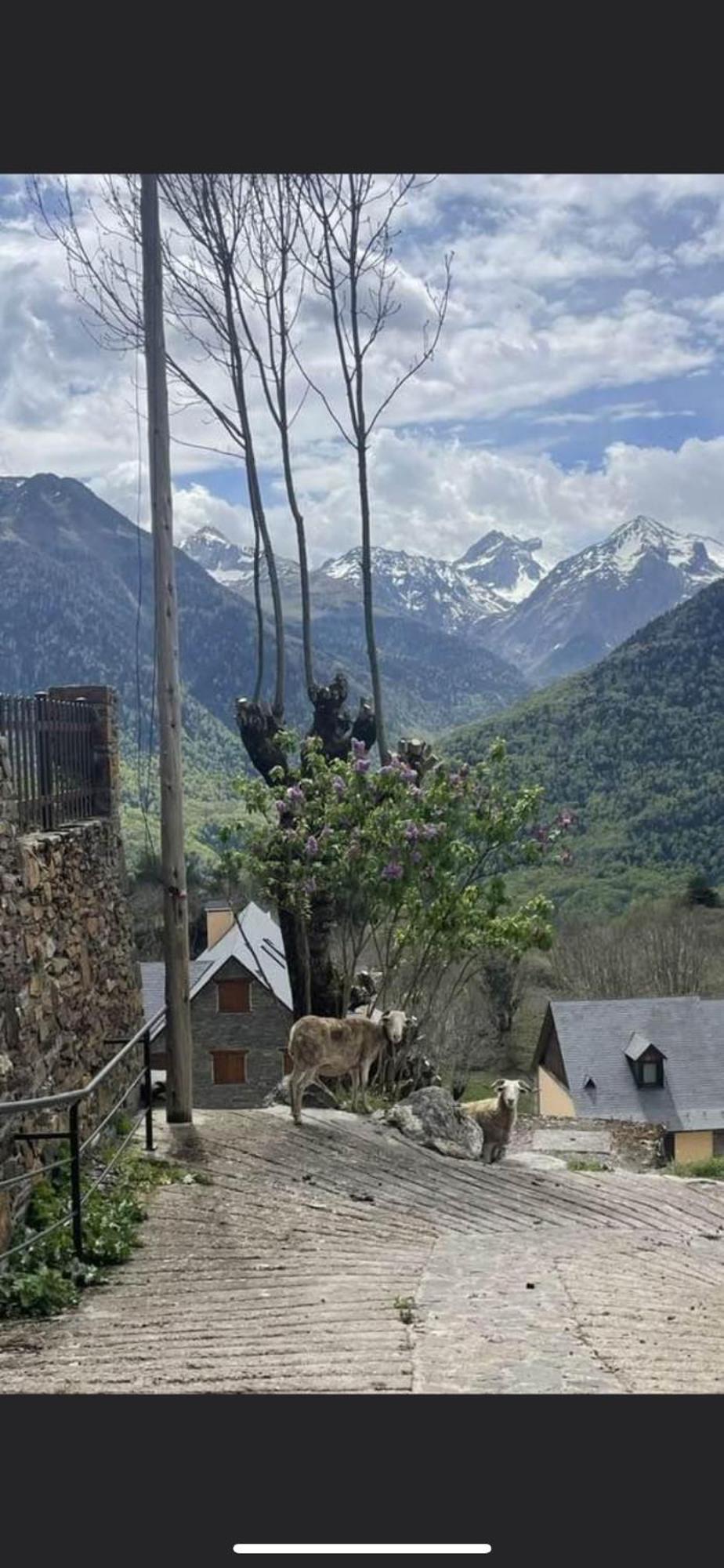 Zoe Daire Vilamós Dış mekan fotoğraf
